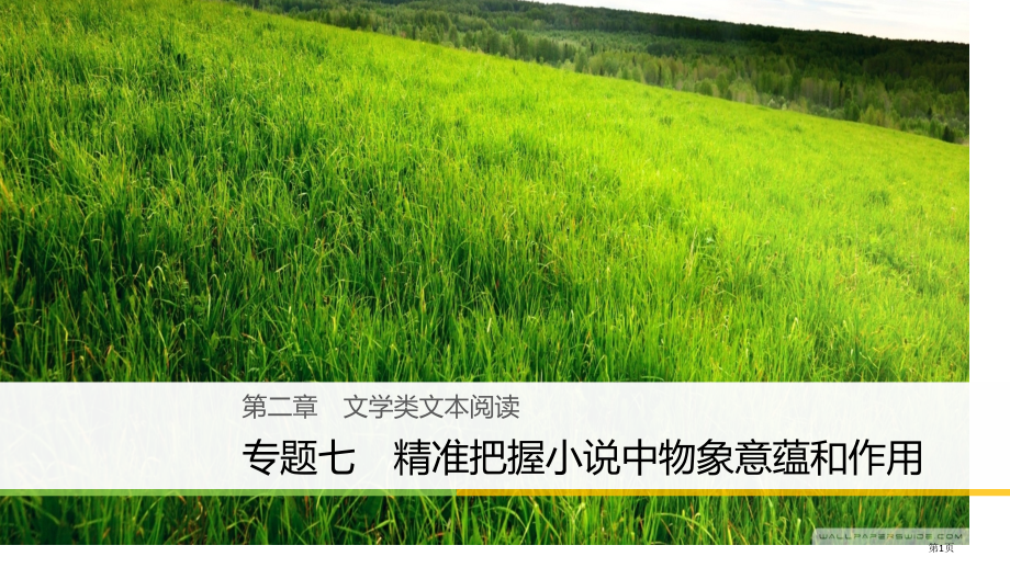 高考语文复习与增分策略第二章文学类文本阅读专题七精准把握小说中物象的意蕴和作用市赛课公开课一等奖省名.pptx_第1页