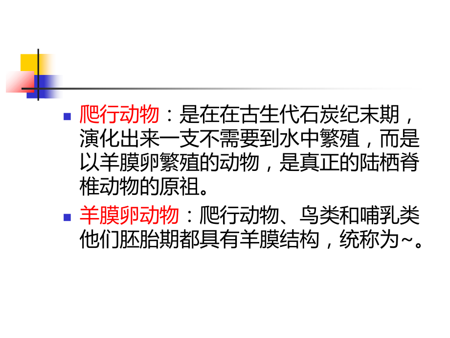 普通动物学第19章爬行纲.ppt_第2页