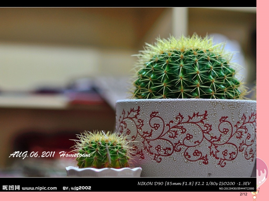 三年级语文上册养花趣事全国公开课一等奖百校联赛微课赛课特等奖PPT课件.pptx_第2页