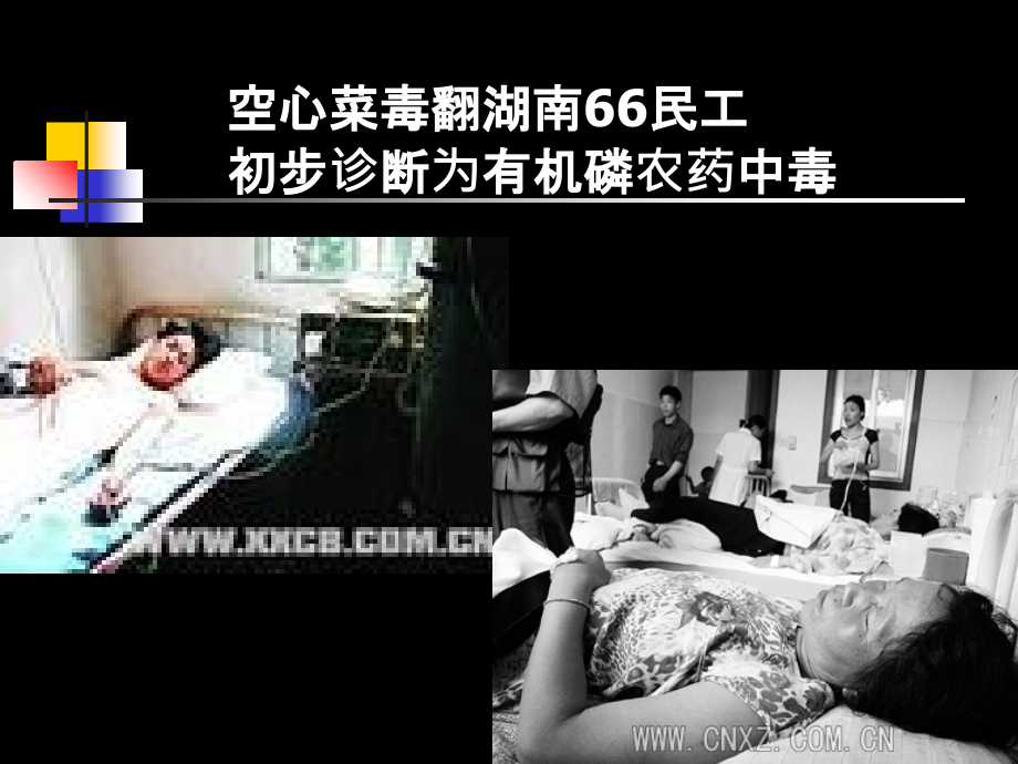 北京林业食品卫生学课件.ppt_第2页