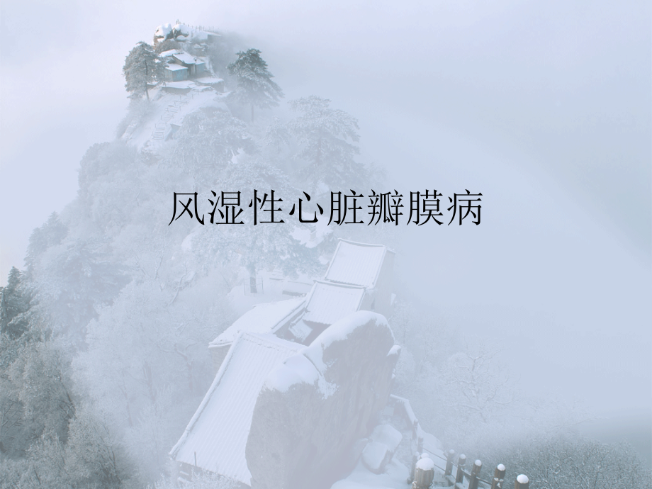 大血管各论.ppt_第2页