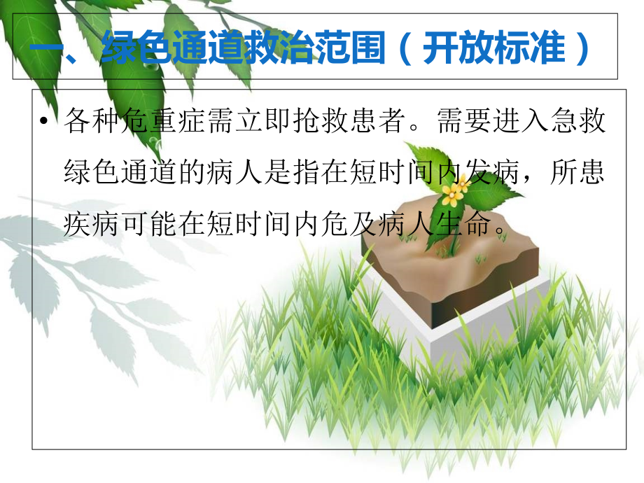 急诊绿色通道管理制度与流程.ppt_第2页