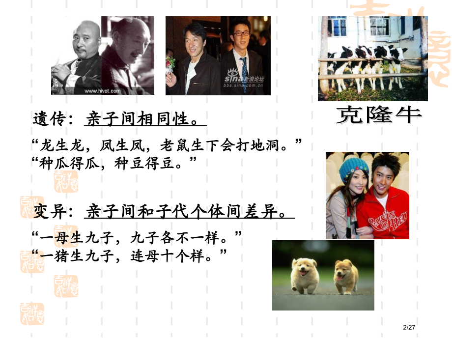 生物的遗传和变异复习-省公开课金奖全国赛课一等奖微课获奖PPT课件.pptx_第2页