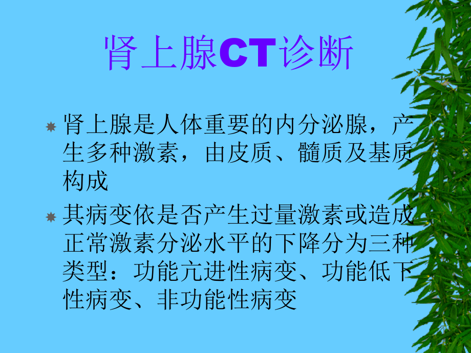 影像学--肾上腺CT.ppt_第1页