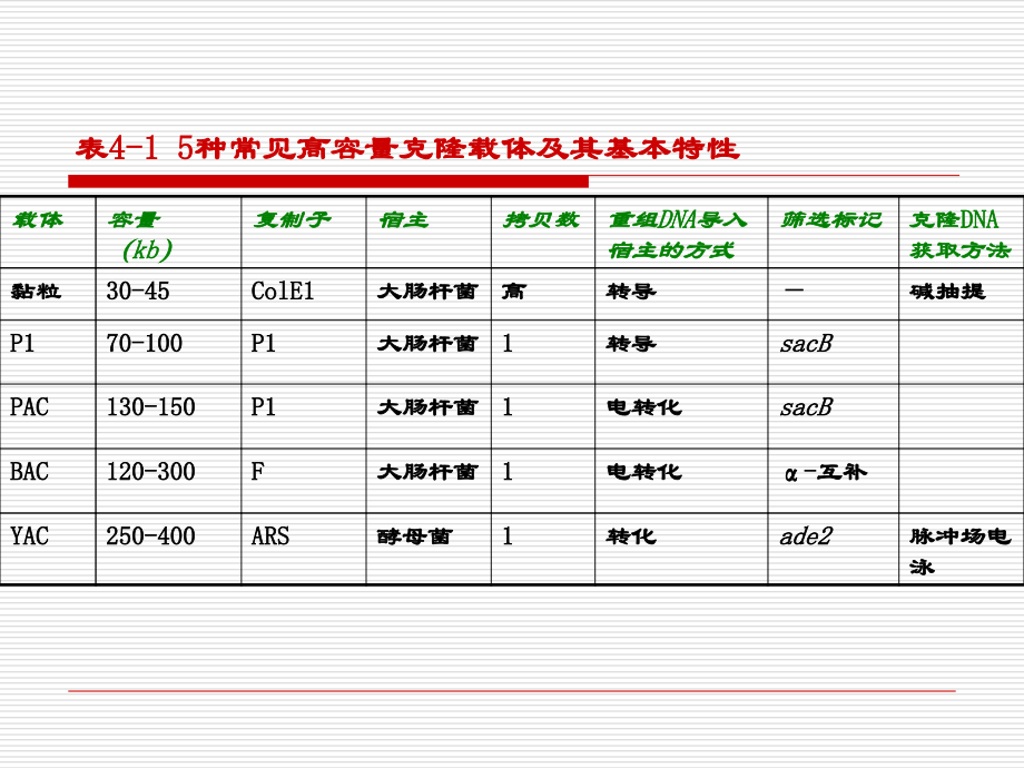 基因工程ppt04.ppt_第1页