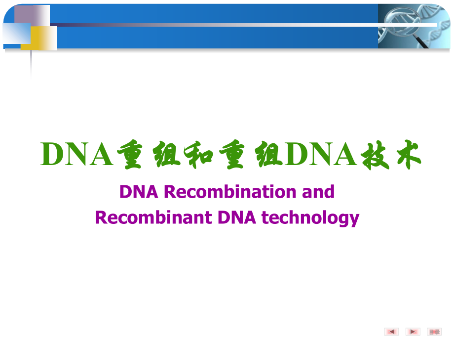 分子生物学-Nov10.ppt_第1页