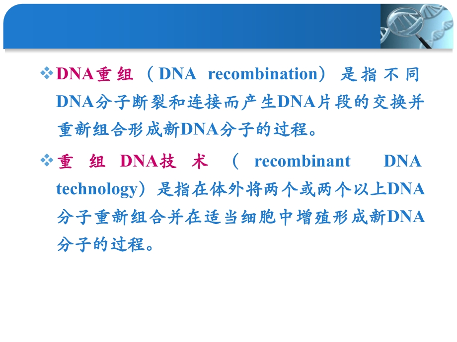 分子生物学-Nov10.ppt_第2页