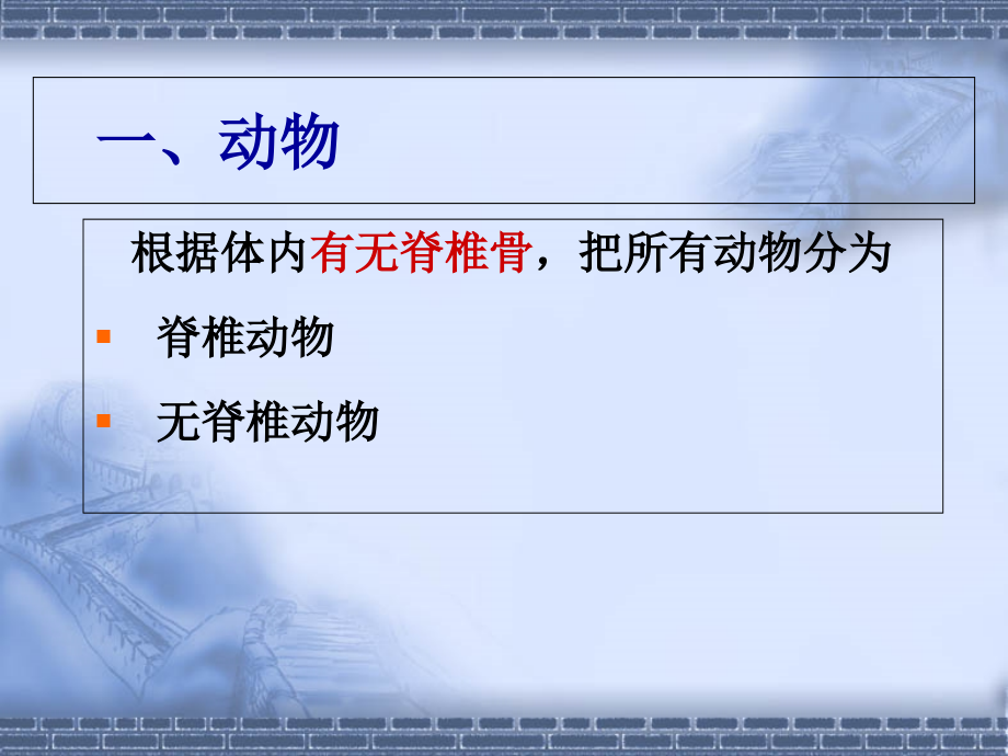 常见的动物与植物.ppt_第1页