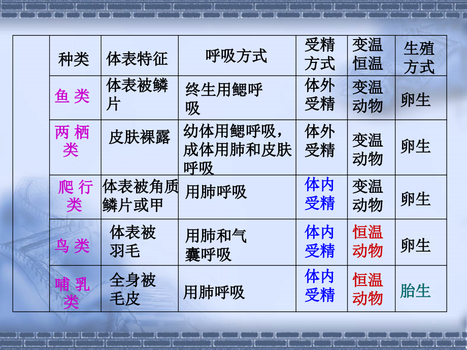 常见的动物与植物.ppt_第2页