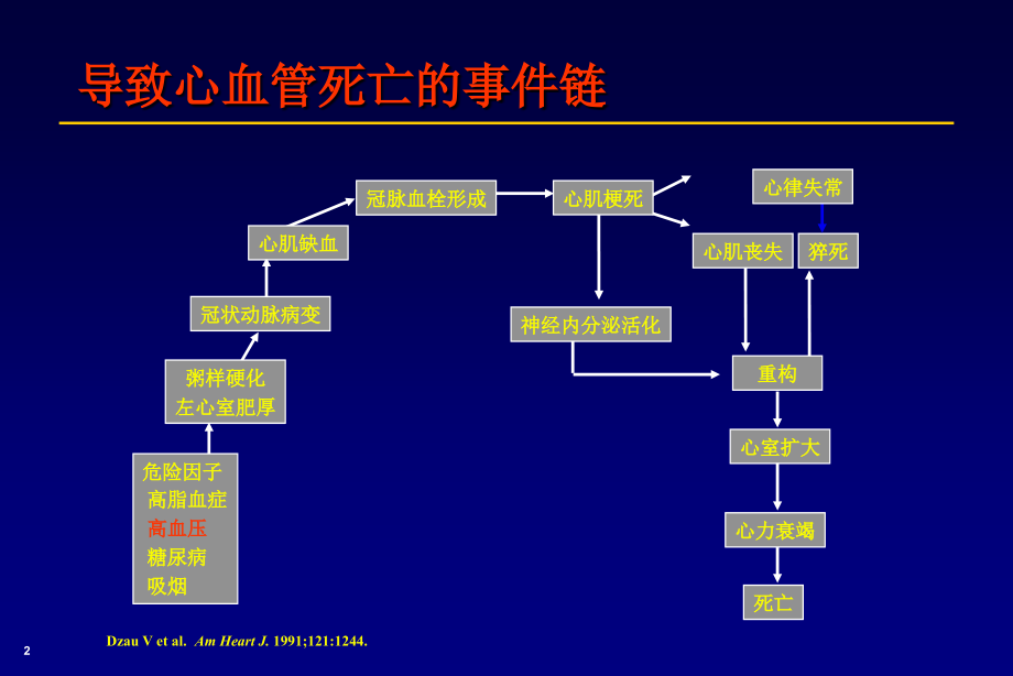 心血管常用药物注意事项.ppt_第2页