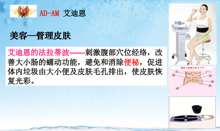 四次减肥革命.ppt_第2页