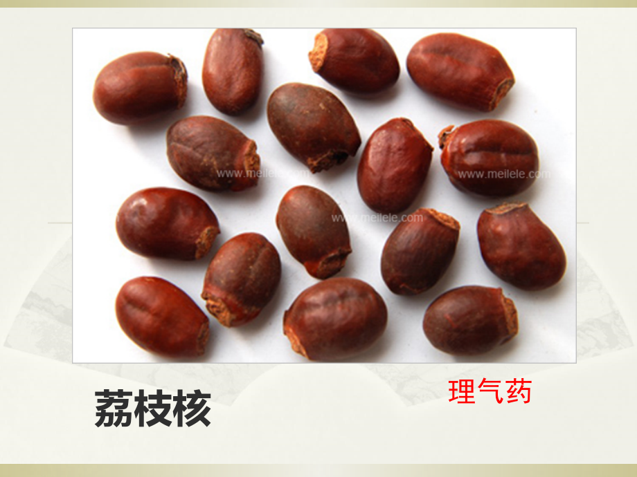 荔枝核功效、主治、临床应用.ppt_第1页