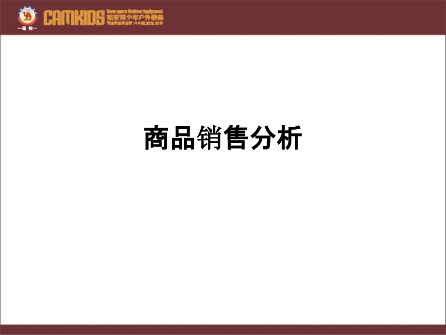 商品销售分析.pptx_第1页