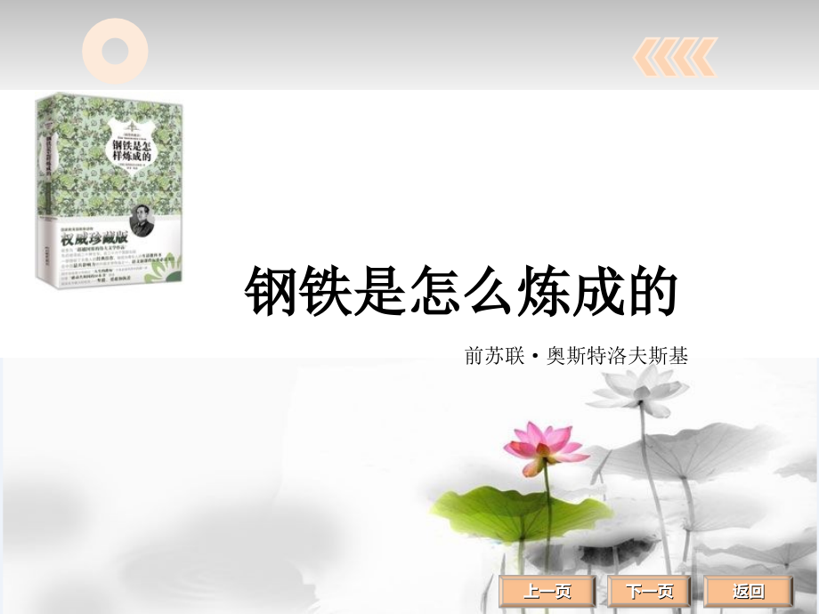 名著阅读钢铁.ppt_第1页