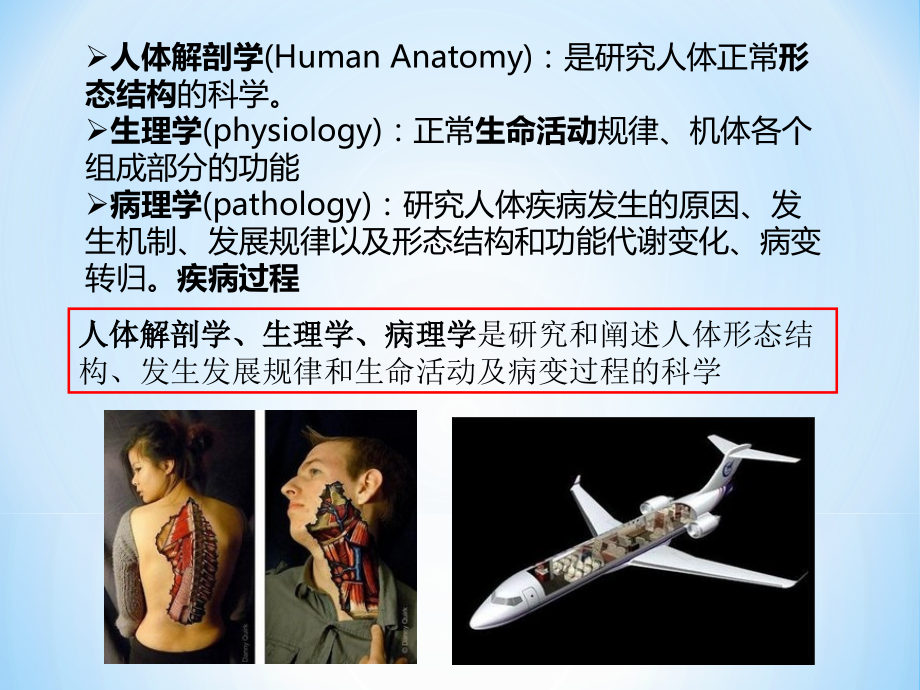 医学基础知识(客舱救护).ppt_第2页