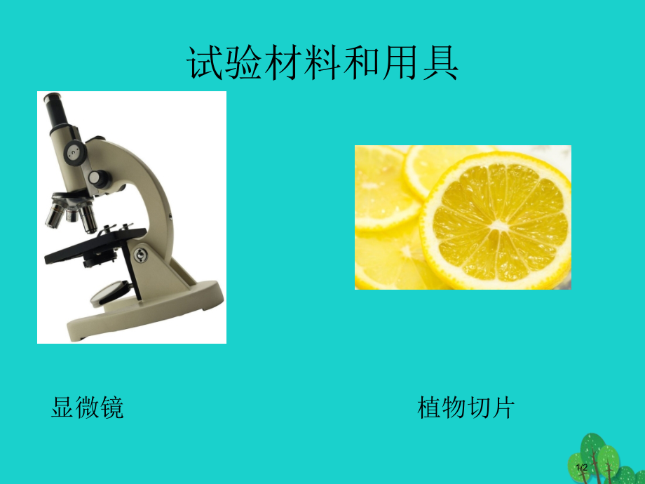 七年级生物上册第二章第一节常用的生物学研究方法实验材料和用具全国公开课一等奖百校联赛微课赛课特等奖P.pptx_第1页