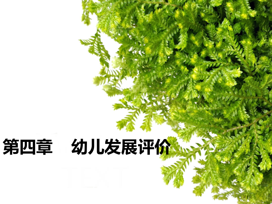 幼儿发展评价市公开课一等奖省赛课微课金奖PPT课件.pptx_第1页