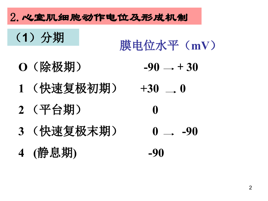 心电生理.ppt_第2页