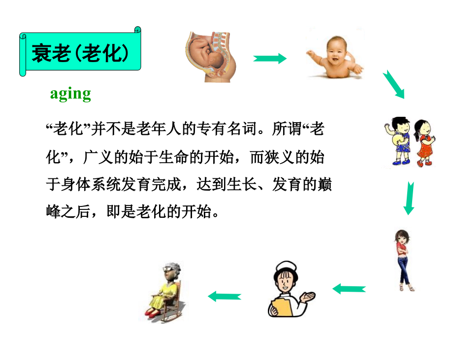 中老年营养.ppt_第2页