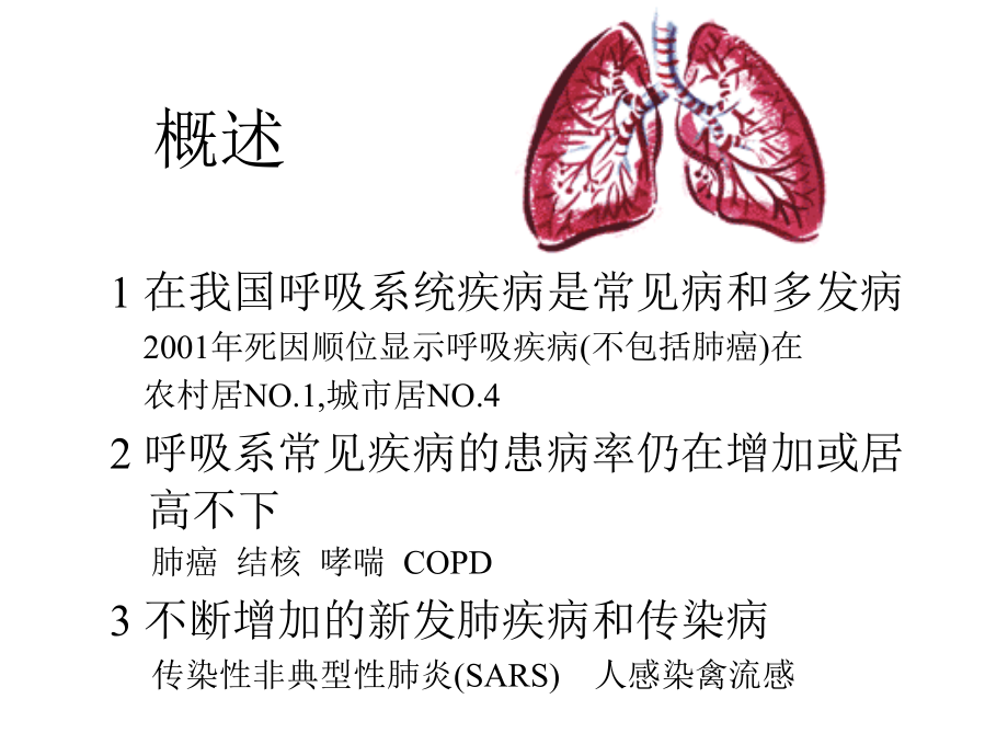 呼吸系统+概述修改后.ppt_第1页