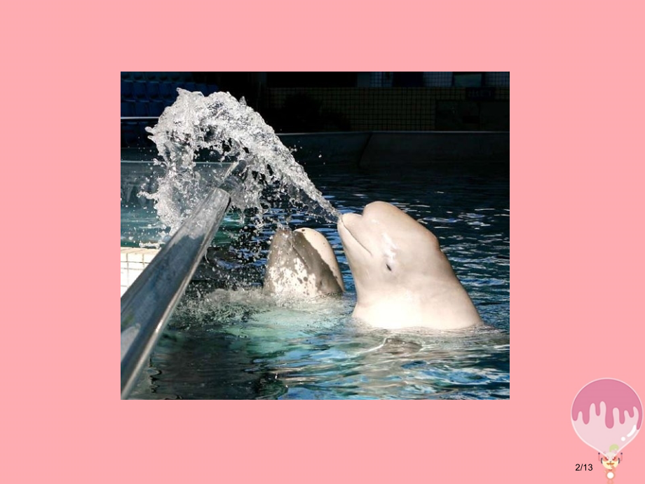 三年级语文上册第九单元喜爱音乐的白鲸备课全国公开课一等奖百校联赛微课赛课特等奖PPT课件.pptx_第2页