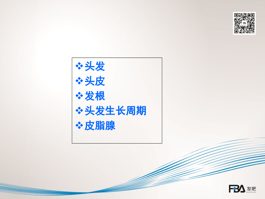 发吧头皮毛发基础知识.ppt_第1页