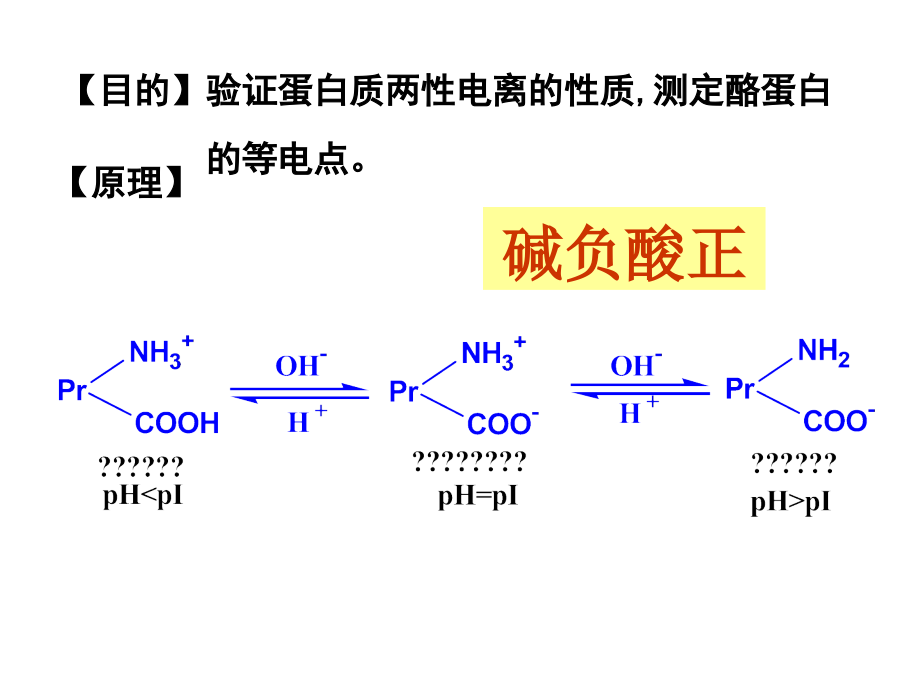 实验1：蛋白质的两性电离和等电点.ppt_第2页