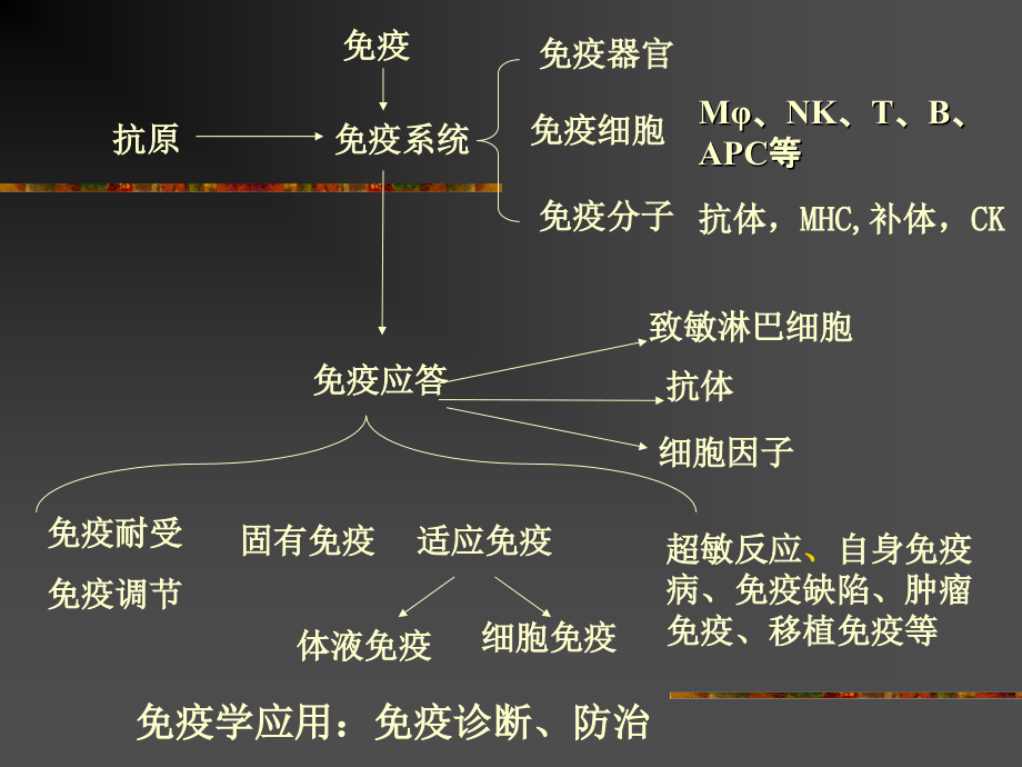 基础免疫学总复习.ppt_第1页
