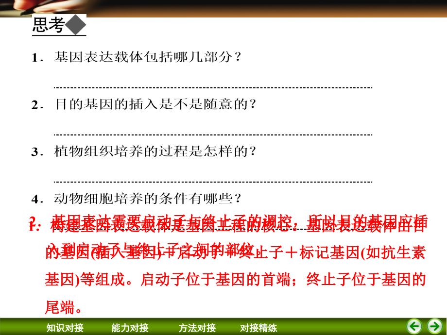 基因工程、细胞工程复习.ppt_第2页