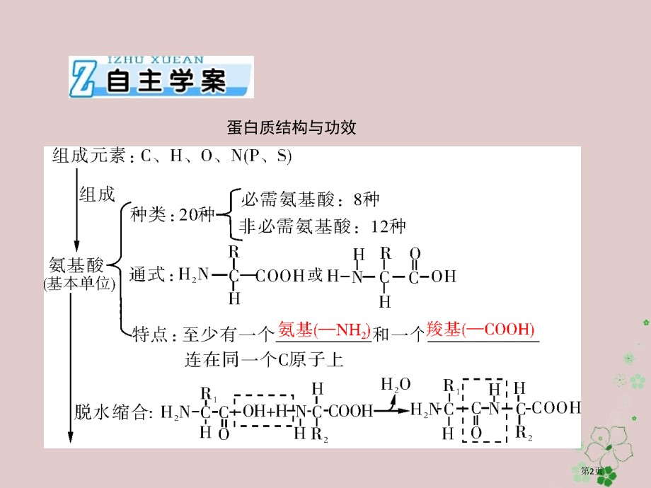 高考生物总复习第2章组成细胞的分子第2节生命活动的主要承担者——蛋白质必修全国公开课一等奖百校联赛示.pptx_第2页