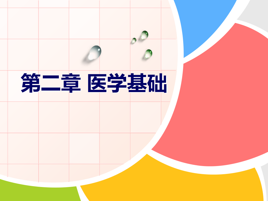 神奇的消化系统.ppt_第1页