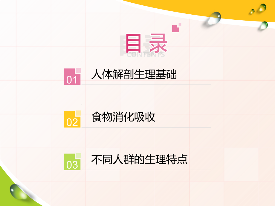 神奇的消化系统.ppt_第2页