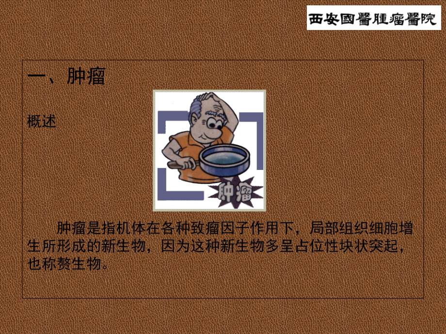 国医肿瘤.ppt_第2页