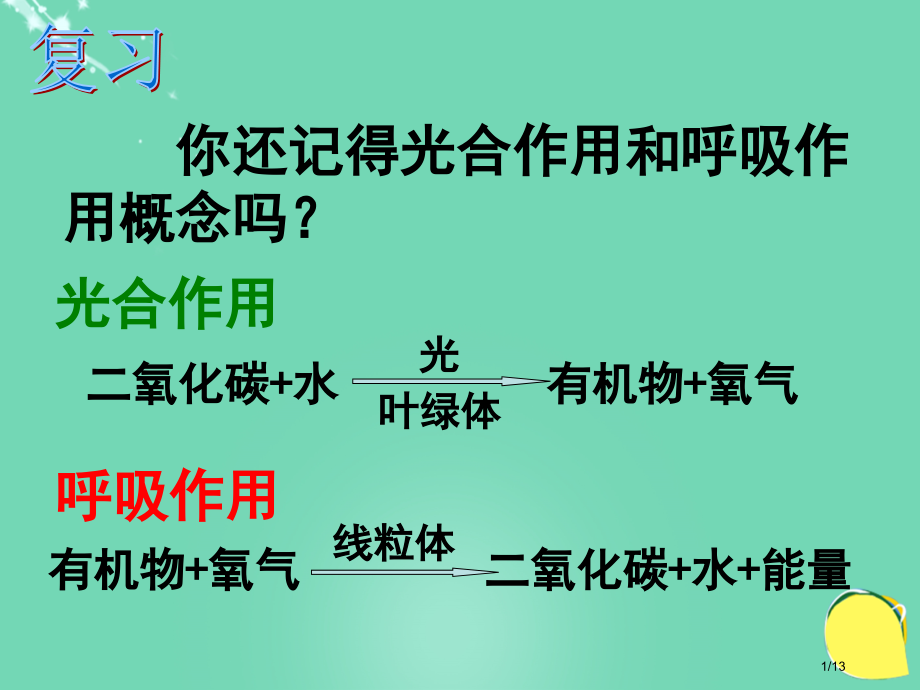 七年级生物下册第三单元第六章第五节光合作用和呼吸作用原理的应用2全国公开课一等奖百校联赛微课赛课特等.pptx_第1页