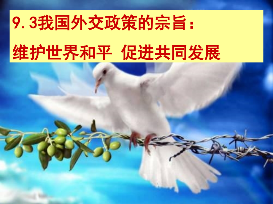 我国外交政策的宗旨-(1).ppt_第2页