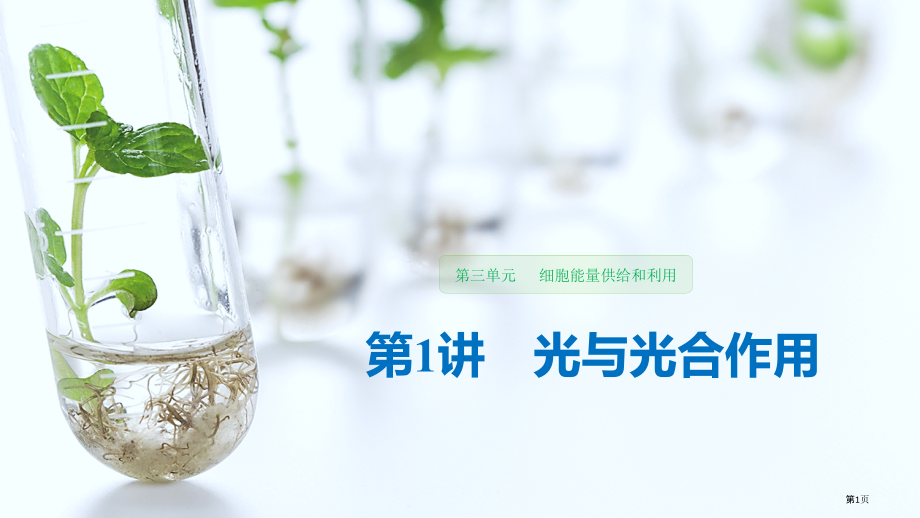 光合作用复习市公开课一等奖省赛课微课金奖PPT课件.pptx_第1页