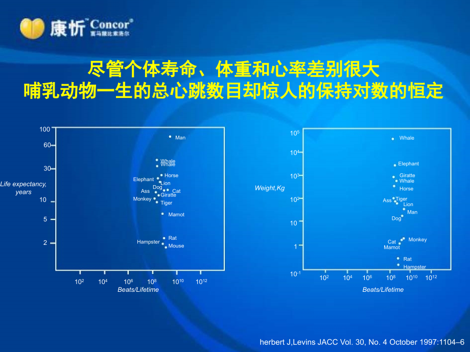 心率与临床疾病.ppt_第2页