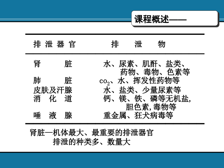 第8章-排泄.ppt_第2页