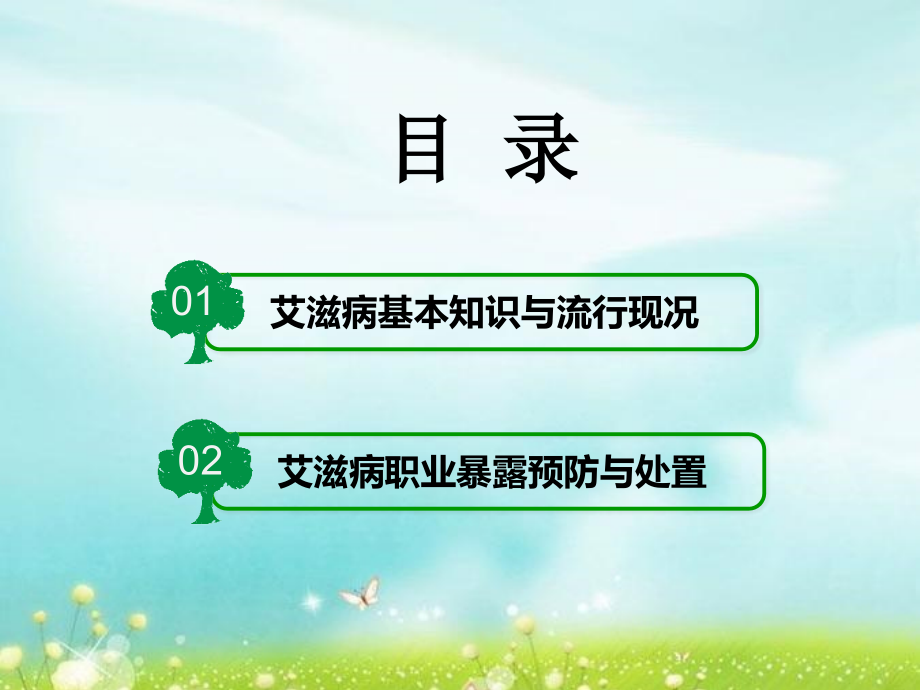 艾滋病职业暴露预防与处置.ppt_第2页