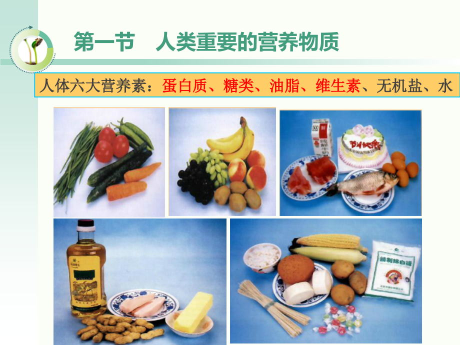 初中化学第十二章第一节-人类重要的营养物质.ppt_第1页