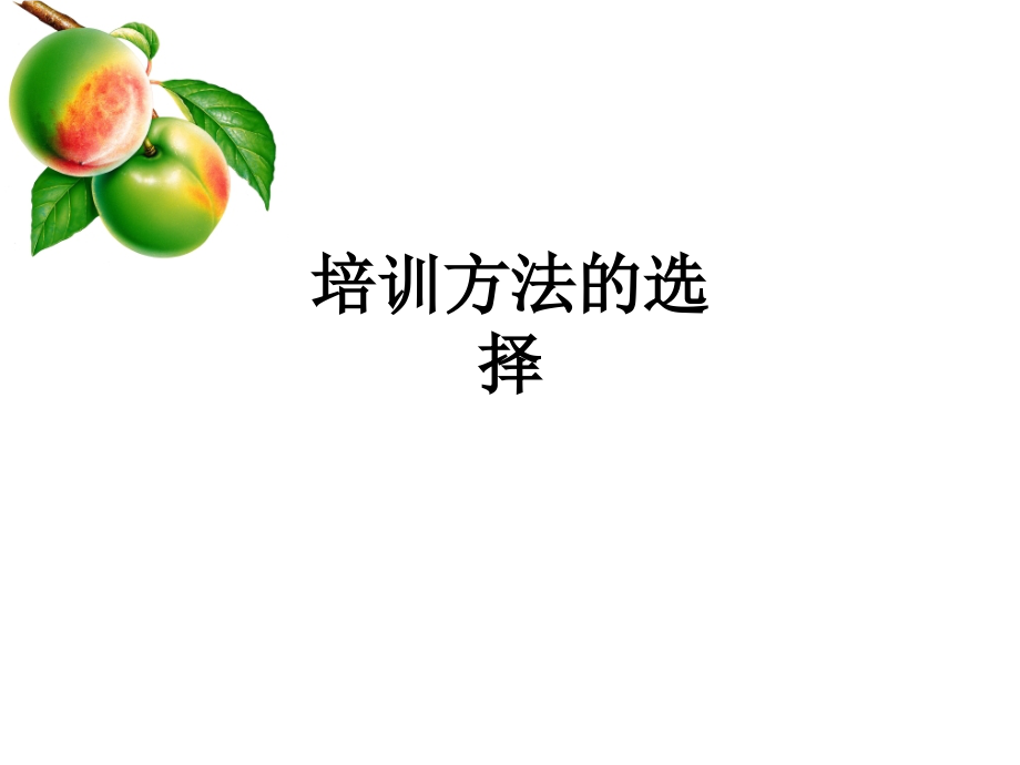 培训方法的选择.ppt_第1页