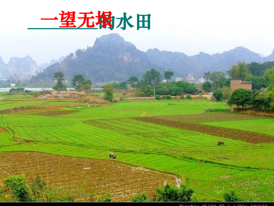 四下语文园地六的作文.ppt_第2页