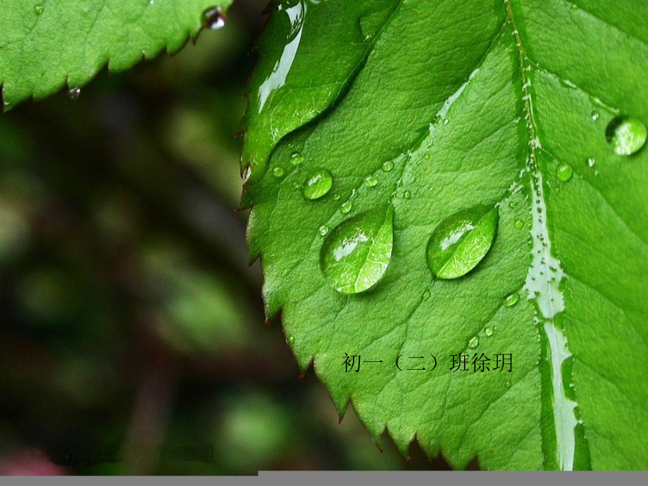 课自我保护.ppt_第1页