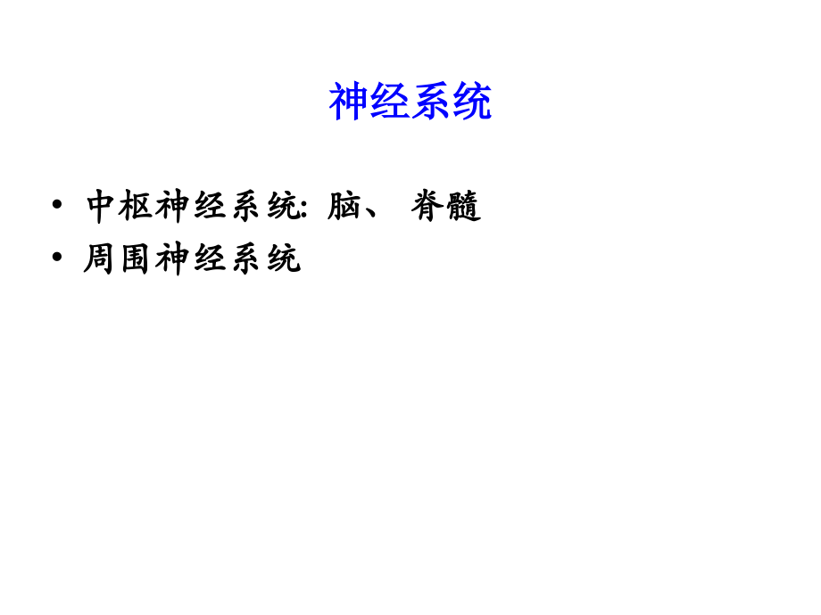 生理学第十一章神经.ppt_第2页