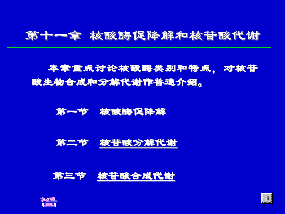 生物化学(合工大)第十二章--核酸的酶促降解和核苷酸代谢省公开课一等奖全国示范课微课金奖PPT课件.pptx_第1页