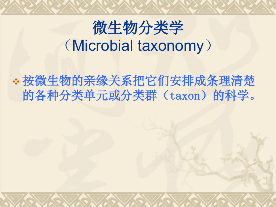 微生物的分类与鉴定.ppt_第1页