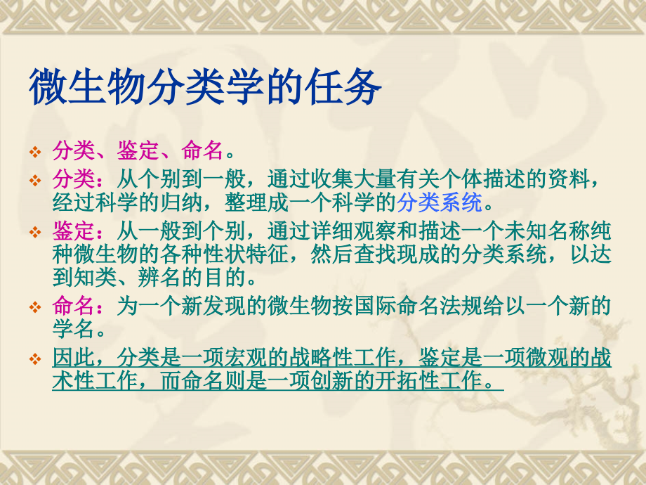 微生物的分类与鉴定.ppt_第2页