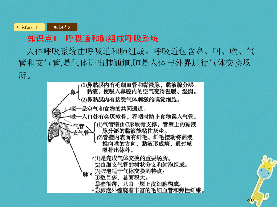 七年级生物下册10.2人体细胞获得氧气的过程讲义全国公开课一等奖百校联赛微课赛课特等奖PPT课件.pptx_第2页