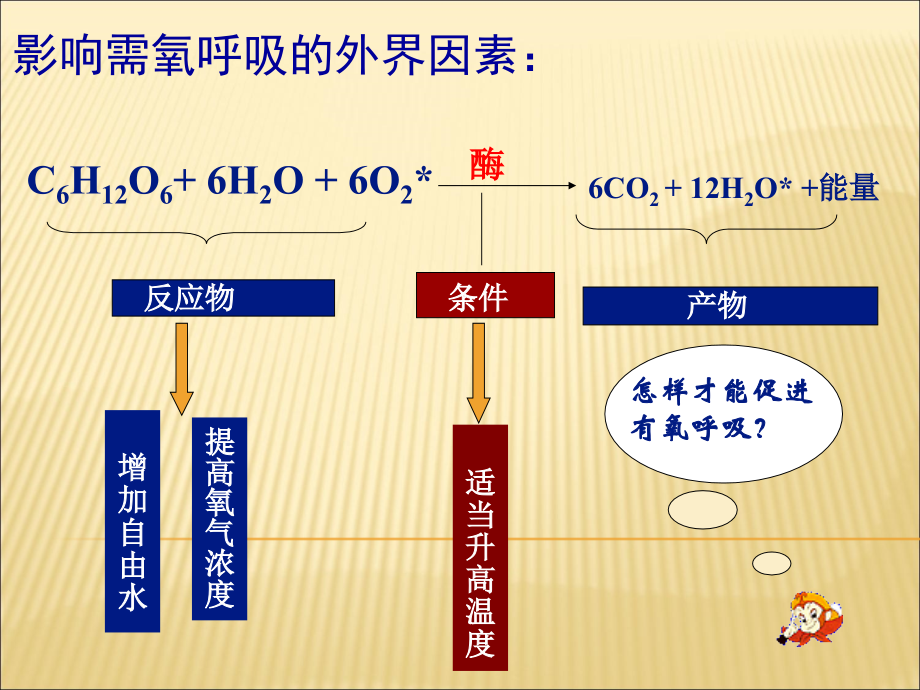 影响细胞呼吸的外界因素(完结).ppt_第2页