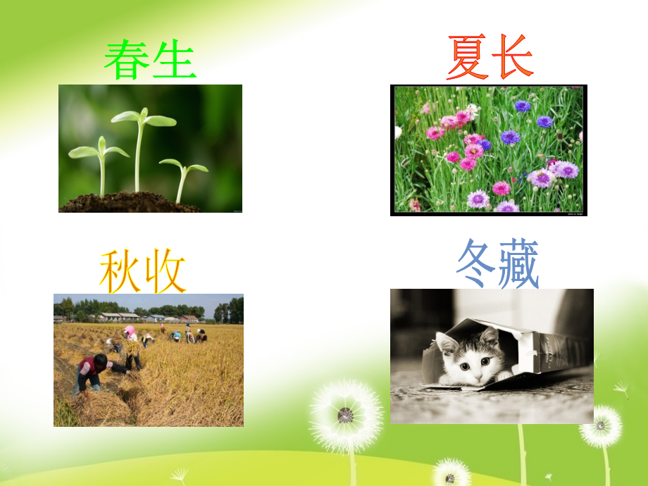 夏季养生课件2.ppt_第2页